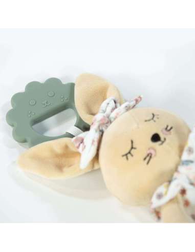 Conejo Mascota Garden Pasito a Pasito...