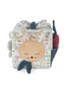 Cubo Actividades Conejo Serengueti Pasito a Pasito...