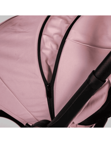 Silla de paseo ligera iWalk de MS