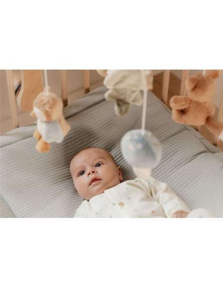 MOVIL MUSICAL DE MADERA FOREST FRIEND FSC LITTLE DUTCH LD8900