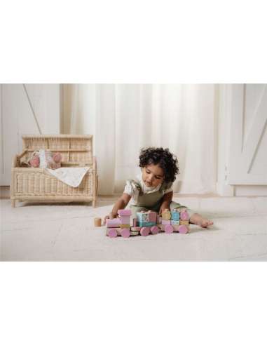 TREN APILABLE FAIRY GARDEN FSC LITTLE...