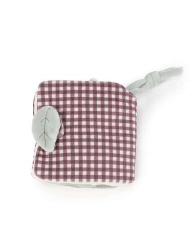 LIBRO ACTIVIDADES LEÓN GALA CERISE...